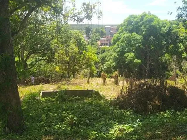 Imagem 1: Vendo Chácara Serra Dourada com Excelente Localização