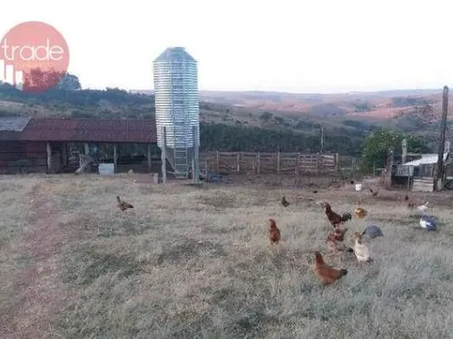 Imagem: Fazenda Rural À Venda, Próximo a Serra