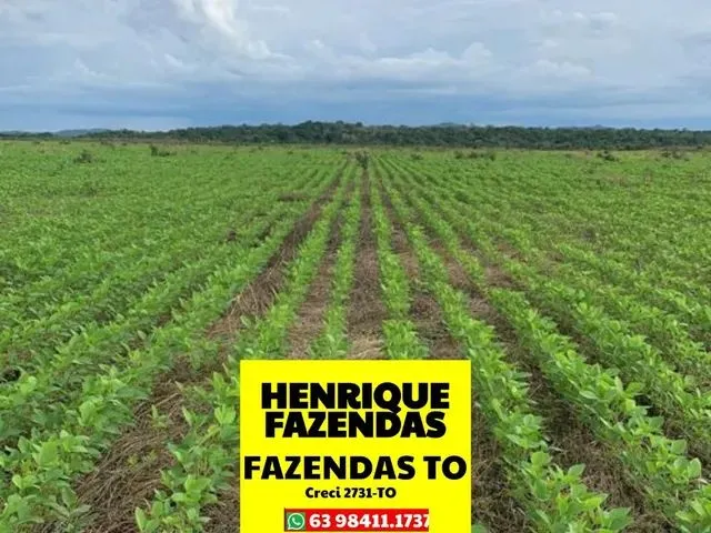 Imagem: Arrendamento no Tocantins Extra