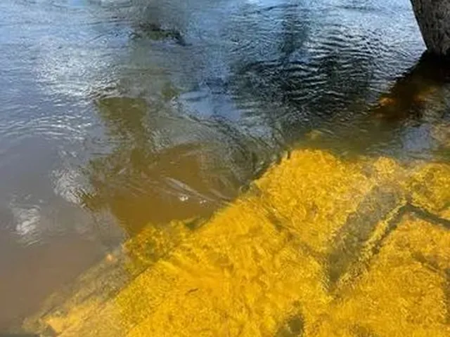 Imagem 2: Chacara no Au-Au Sentido Auto Alegre