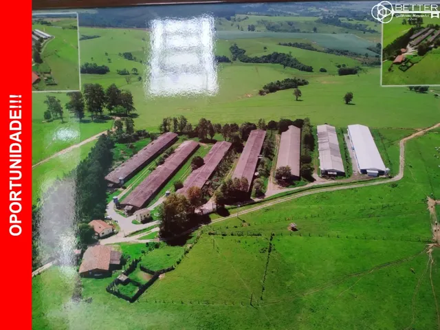 Imagem: Oportunidade Granja de Frango Area de 13