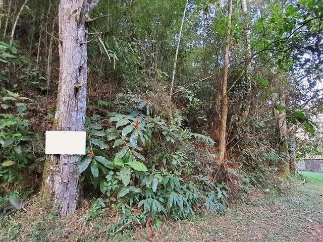 Imagem 4: Oportunidade! Lote de terreno com 4.970 m² pertinho da UNIFESO do Alto, R$ 250.000