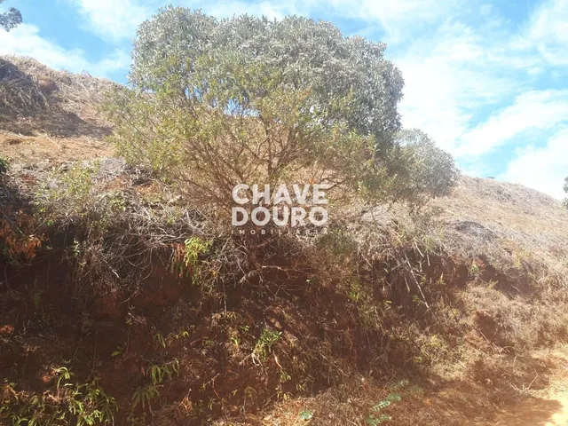 Imagem 2: Terreno fora de condomínio para venda por R$ 120.000 em Albuquerque, Teresópolis!