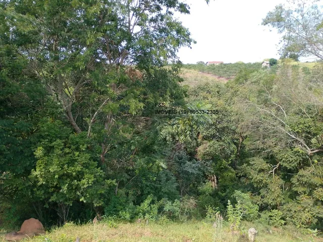 Imagem 16: Sítio À Venda em Vinhedo-Sp, Bairro Monte Alegre, com 1 Quarto, 1 Banheiro e 90.000 M² de Área. Confira!