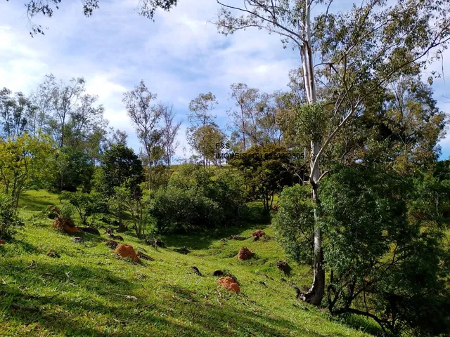 Imagem 2: Sítio À Venda em Vinhedo-Sp, Bairro Monte Alegre, com 1 Quarto, 1 Banheiro e 90.000 M² de Área. Confira!