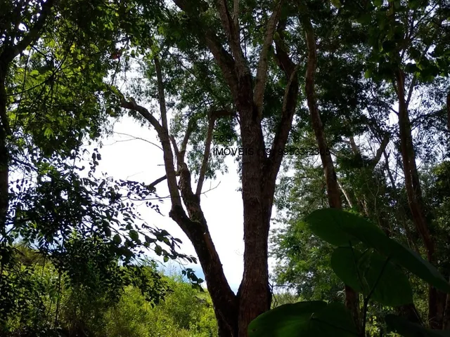 Imagem 15: Sítio À Venda em Vinhedo-Sp, Bairro Monte Alegre, com 1 Quarto, 1 Banheiro e 90.000 M² de Área. Confira!