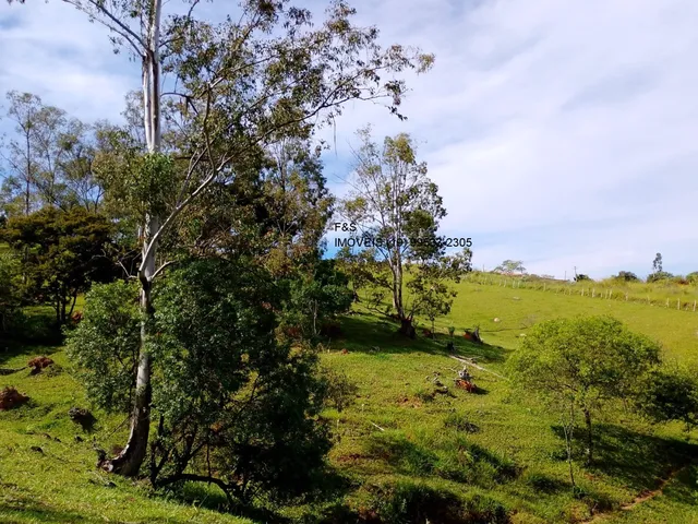 Imagem 10: Sítio À Venda em Vinhedo-Sp, Bairro Monte Alegre, com 1 Quarto, 1 Banheiro e 90.000 M² de Área. Confira!
