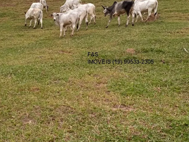 Imagem 8: Sitio Á Venda 144.000 M²-Igaratá/Sp