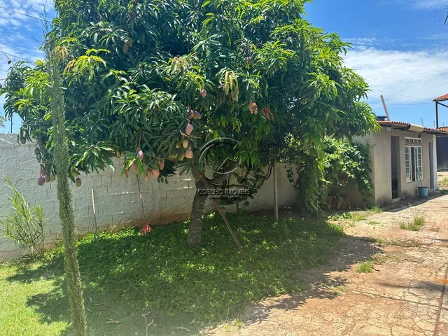 Imagem 2: OPORTUNIDADE: CASA COM 4 QUARTOS, SENDO 1 SUÍTE, AMPLA ÁREA VERDE E ÁRVORES