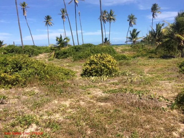 Imagem 3: Maravilhoso terreno amplo, Pé na Areia, Condomínio Busca Vida, Camaçari, BA