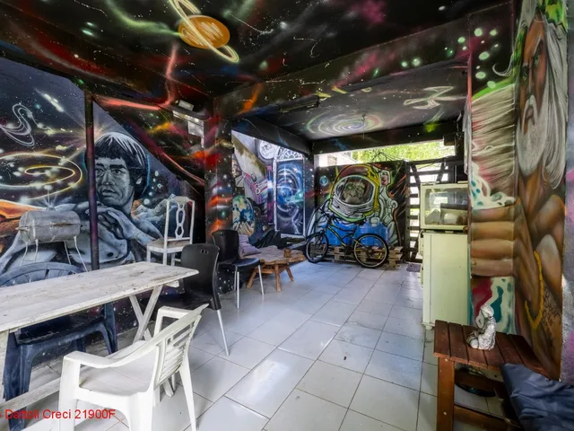 Imagem 8: Excelente casa 4 quartos, sendo 1 suíte, Quintal amplo com árvores frutíferas