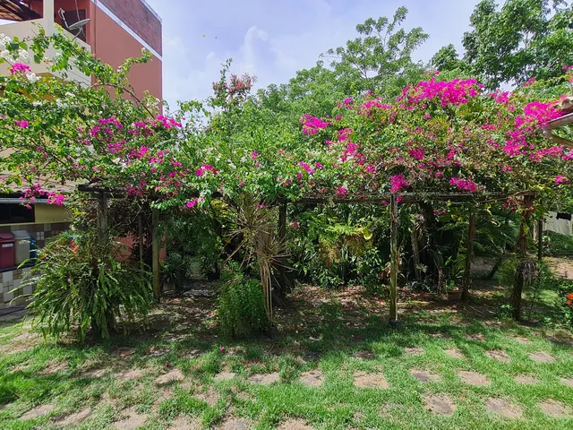 Imagem 15: Encantador Sítio permeado pela natureza, com sede com 4 quartos + edícula, Busca Vida