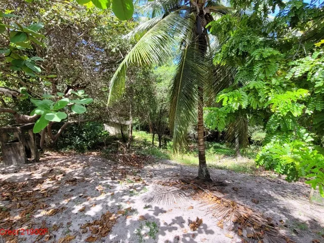 Imagem 12: Terreno amplo 9.450 m², com casa, estilo sítio, Busca Vida, Camaçari, BA