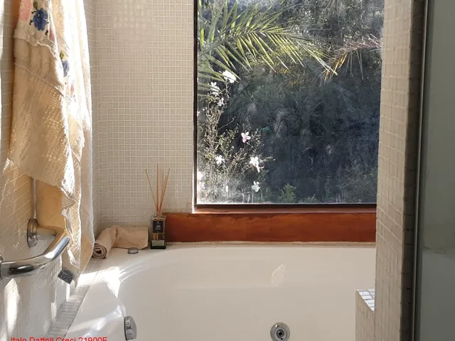 Imagem 14: Excelente Sítio com 5,4128 ha, reflorestamento diversificados, 50m da cachoeira, Chapada