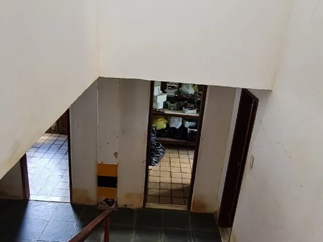 Imagem 11: Excelente Chácara com terreno amplo repleto de árvores frutíferas, com sede com 6
