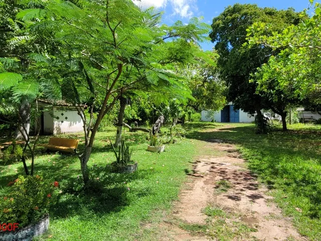 Imagem 9: Maravilhoso Terreno com 44 mil m² de área verde, Sede com 4 quartos, sendo 2 suítes