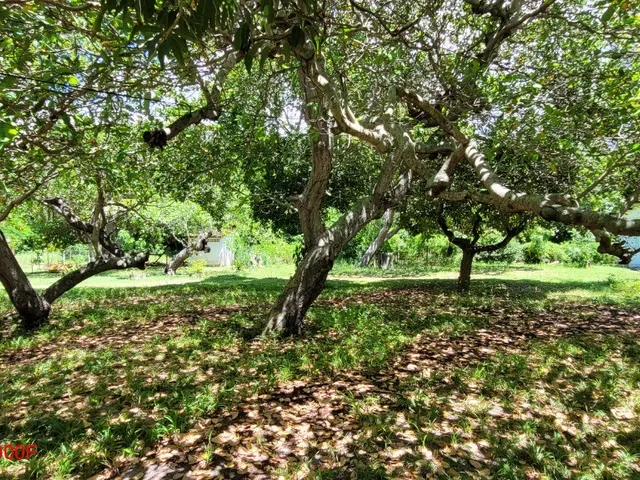 Imagem 3: Maravilhoso Terreno com 44 mil m² de área verde, Sede com 4 quartos, sendo 2 suítes
