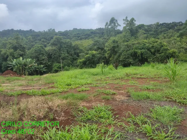 Imagem: CHACARA RURAL em BROCHIER - RS, Pinheiro