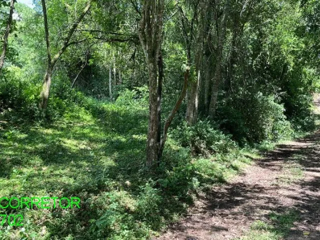 Imagem 4: Chacara Rural em Maratá - Rs, Macega