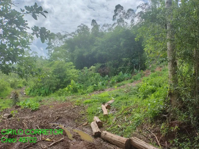 Imagem 9: CHACARA RURAL em BROCHIER - RS, NOVA HOLANDA