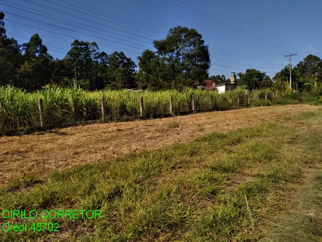Imagem 4: CHACARA COMERCIAL em MONTENEGRO - RS, PASSO DA SERRA
