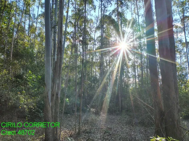 Imagem: CHACARA RURAL em MONTENEGRO - RS, Costa