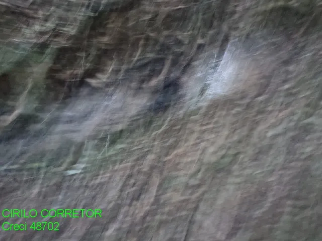 Imagem 4: CHACARA RURAL em MONTENEGRO - RS, Costa da Serra