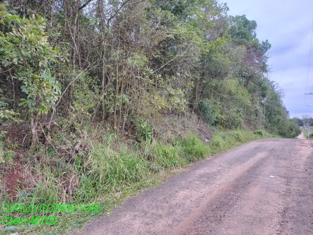Imagem 3: CHACARA RURAL em MONTENEGRO - RS, Passo da Amora