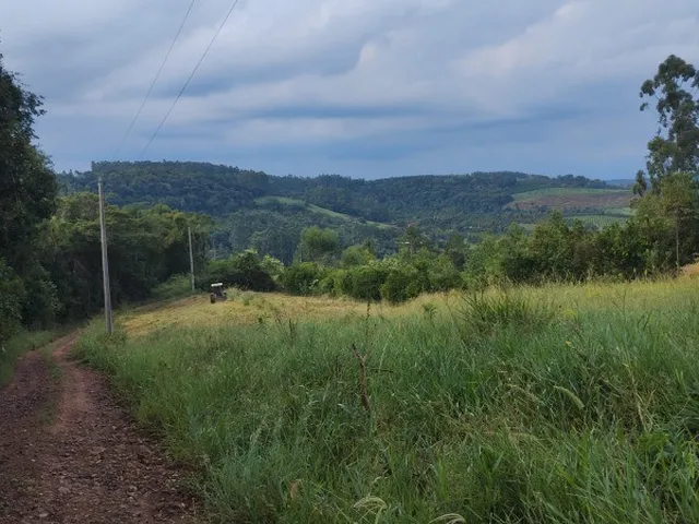 Imagem: CHACARA RURAL em MONTENEGRO - RS, ALFAMA