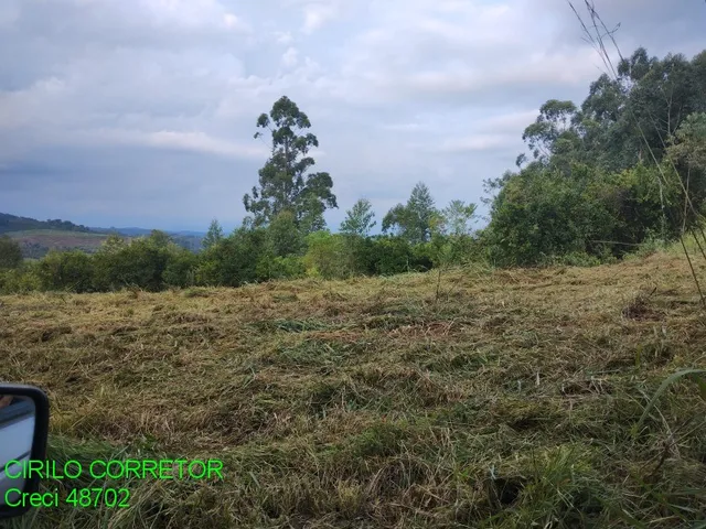 Imagem 2: CHACARA RURAL em MONTENEGRO - RS, ALFAMA