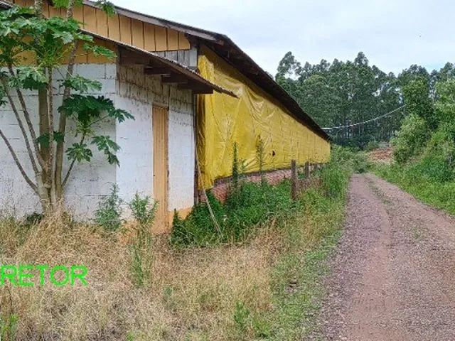Imagem 4: CHACARA RURAL em BROCHIER - RS, Pinheiro Machado
