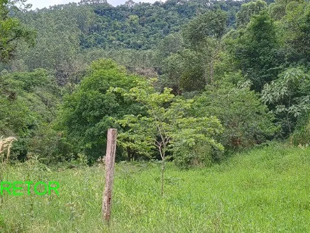 Imagem 11: CHACARA RURAL em BROCHIER - RS, Pinheiro Machado
