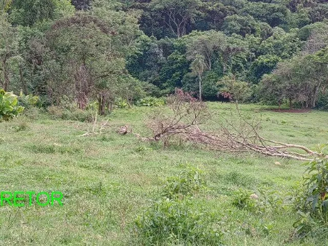 Imagem 9: CHACARA RURAL em BROCHIER - RS, Pinheiro Machado
