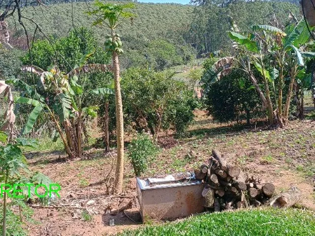 Imagem 11: CHACARA RURAL em MONTENEGRO - RS, Vendinha