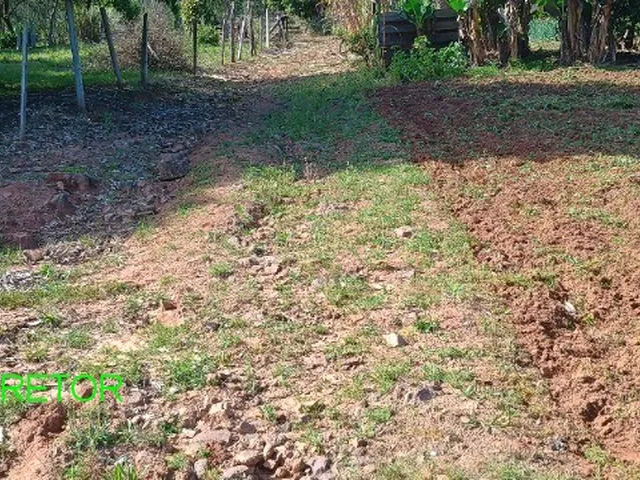 Imagem 7: CHACARA RURAL em MONTENEGRO - RS, Vendinha