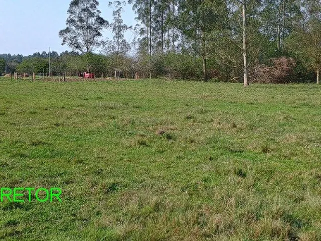 Imagem: Sitio Rural em Montenegro - Rs, Passo da