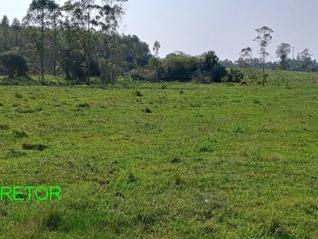 Imagem 6: Sitio Rural em Montenegro - Rs, Passo da Serra