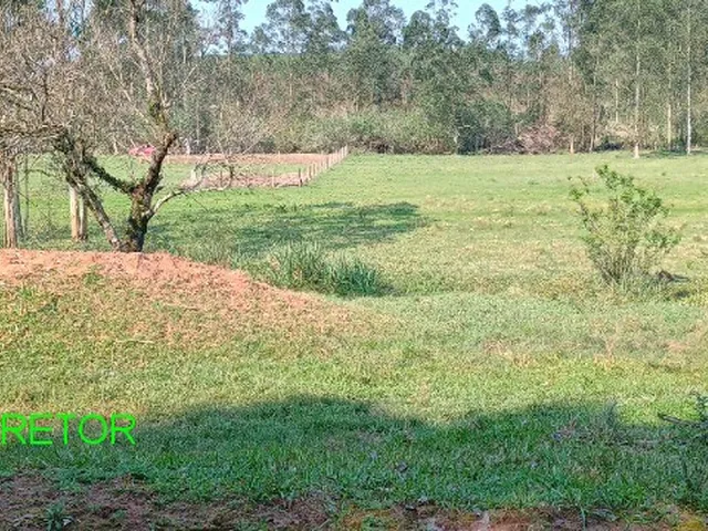 Imagem 4: Sitio Rural em Montenegro - Rs, Passo da Serra