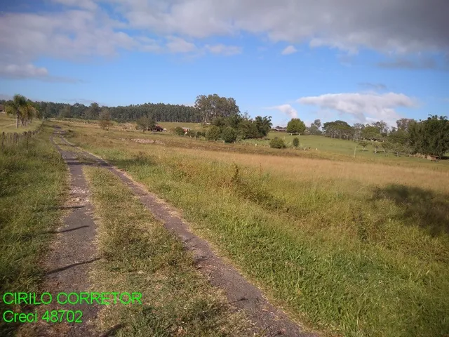 Imagem 5: CHACARA RURAL em MONTENEGRO - RS, Costa da Serra