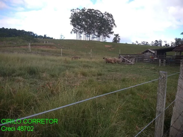 Imagem 9: CHACARA RURAL em MONTENEGRO - RS, Costa da Serra