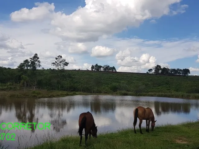 Imagem 14: CHACARA RURAL em TRIUNFO - RS, Vendinha