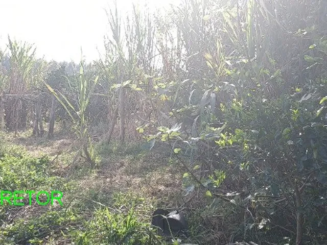 Imagem 5: CHACARA RURAL em TRIUNFO - RS, Vendinha