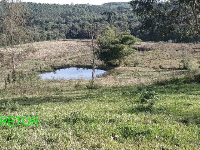 Imagem 15: CHACARA RURAL em TRIUNFO - RS, Vendinha