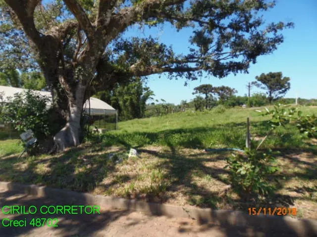 Imagem: Terreno Residencial em Pareci Novo - Rs
