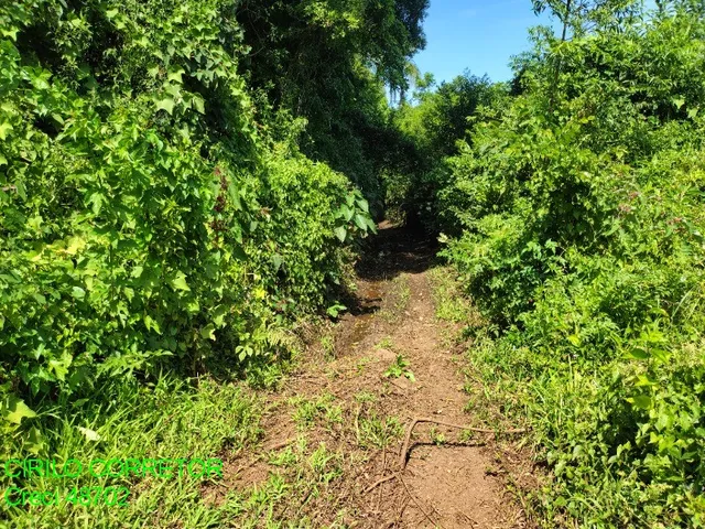 Imagem 4: Chacara Rural em Maratá - Rs, Esperança