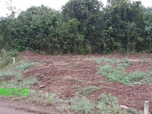 Imagem: Terreno Residencial em Maratá - Rs, Linha