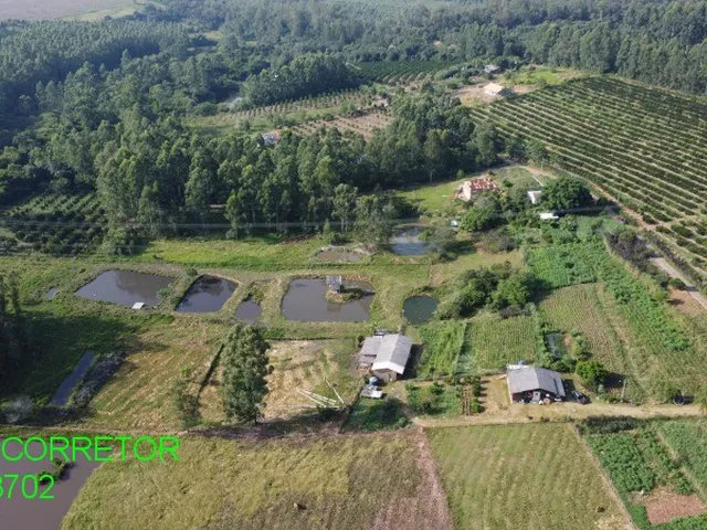 Imagem 7: CHACARA RURAL em MONTENEGRO - RS, CALAFATE