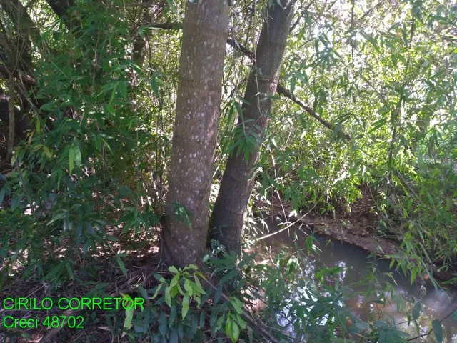 Imagem 13: CHACARA RURAL em MONTENEGRO - RS, SERRA VELHA