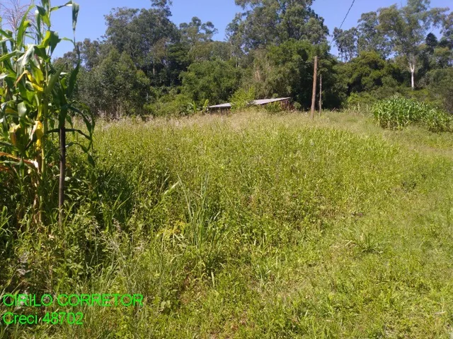 Imagem 8: CHACARA RURAL em MONTENEGRO - RS, SERRA VELHA