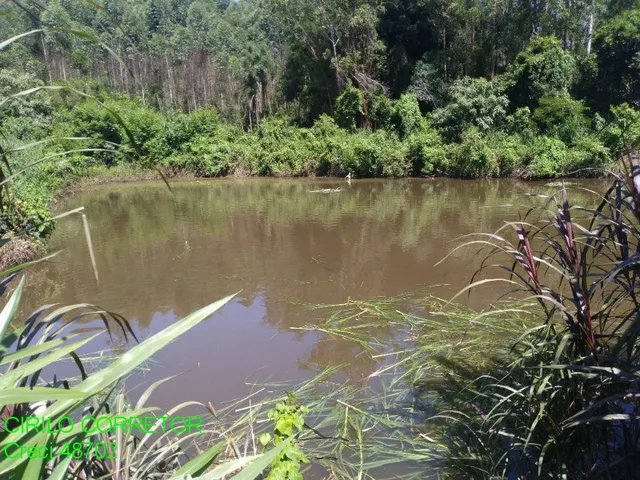 Imagem 12: CHACARA RURAL em MONTENEGRO - RS, SERRA VELHA